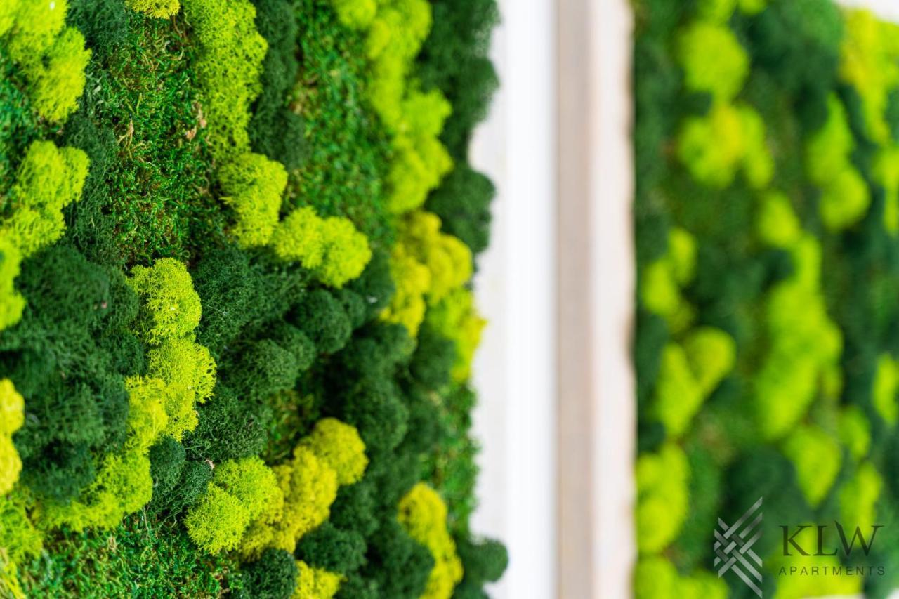 Klw Garden Centrum - Klimatyzacja * Szczecin